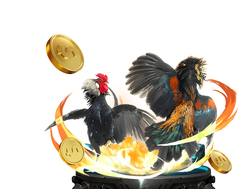 Giao diện sảnh đá gà hm88 casino
